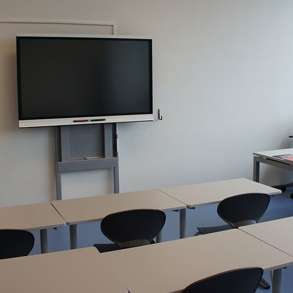 ergoxs-ergoframe-fine-supreme-three-column wall lift-tv-effw5325zp-legs-for-extra-support