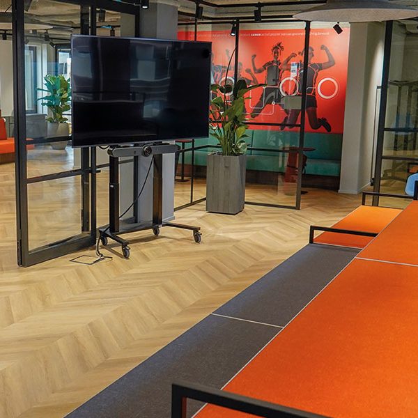 ergoxs-ergoframe-motion-dual-column-mobile-tv-trolley-eff5251z-project-videoconference