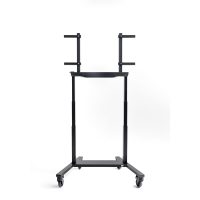 ergoxs-slimline-compact-mobile-double-column-mobile-lift-front-view-cm222b-high